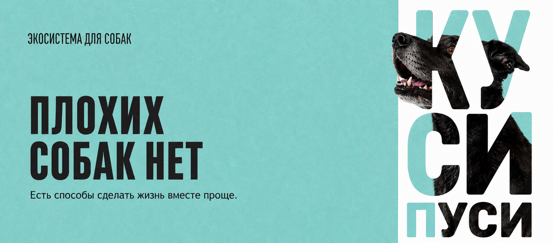 КУСИ-ПУСИ — Плохих собак нет